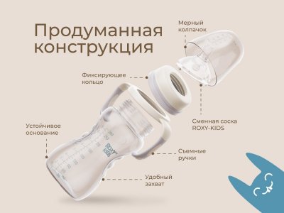 Бутылочка для кормления Roxy-Kids, быстрый поток, 6 мес.+, 260 мл 1-00459837_8
