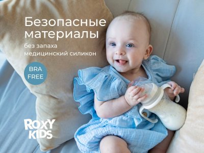 Бутылочка для кормления Roxy-Kids, быстрый поток, 6 мес.+, 260 мл 1-00459837_9