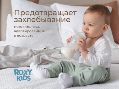 Бутылочка для кормления Roxy-Kids, быстрый поток, 6 мес.+, 260 мл 1-00459838_3