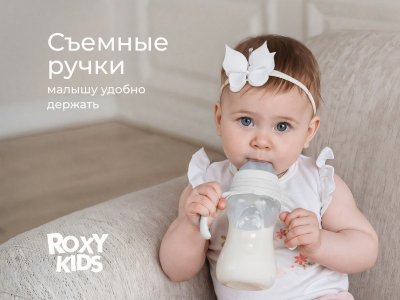 Бутылочка для кормления Roxy-Kids, быстрый поток, 6 мес.+, 260 мл 1-00459838_9