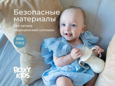 Бутылочка для кормления Roxy-Kids, быстрый поток, 6 мес.+, 260 мл 1-00459838_6