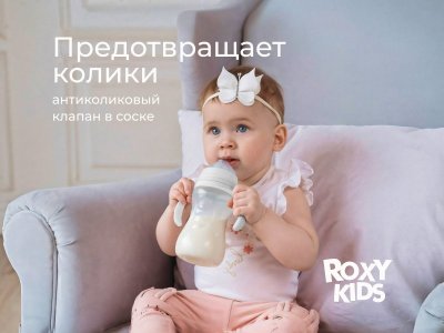Бутылочка для кормления Roxy-Kids, быстрый поток, 6 мес.+, 260 мл 1-00459838_11
