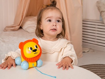 Развивающая игрушка Kids Hits Игрушка-каталка Лев 1-00461043_7