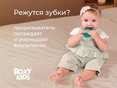 Прорезыватель Roxy-Kids Рыбка охлаждающий 1-00461046_7