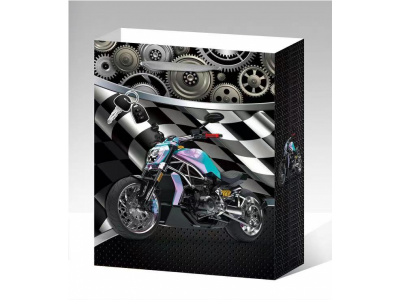 Пакет подарочный Top Shine Гонки 42*31*12 см 1-00420197_4