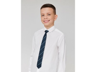 Галстук Acoola Morny синий в полоску 100462005