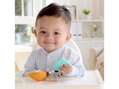 Погремушка Наре Малышам 1-00463097_9