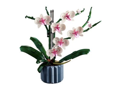 Конструктор LEGO Icons Орхидея в горшке 10311 1-00430342_15