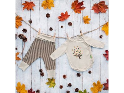 Боди Bluegreens 1-00458497_2