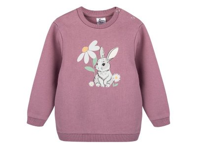 Свитшот Palloncino Bunny (Худи Palloncino Bunny) темно-розовый, р.74 100459889