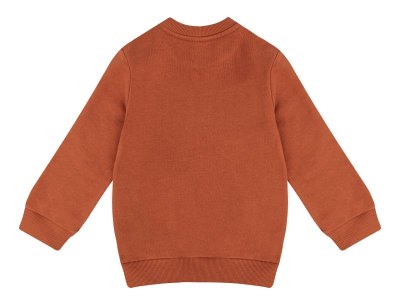 Свитшот Palloncino Beaver team 1-00460738_3