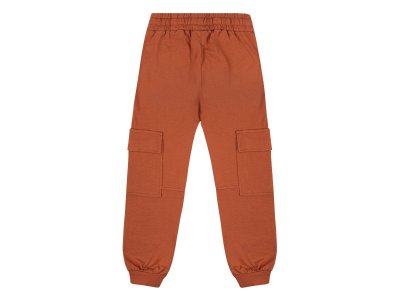 Брюки Palloncino Dinosaurs skate 1-00460823_4