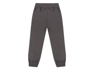 Брюки Palloncino Dinosaurs skate 1-00460831_3