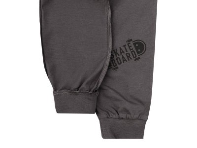 Брюки Palloncino Dinosaurs skate 1-00460831_4