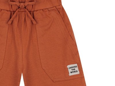 Шорты Palloncino Dinosaurs skate 1-00460866_2