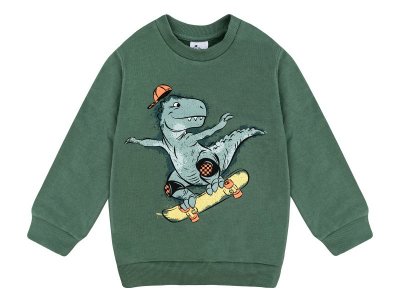 Свитшот Palloncino Dinosaurs skate 1-00460871_2