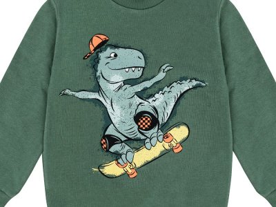 Свитшот Palloncino Dinosaurs skate 1-00460871_3