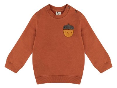 Свитшот Palloncino Beaver team 1-00460738_4