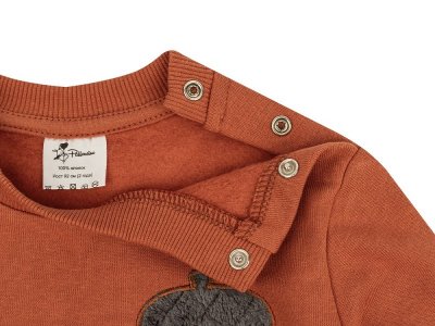 Свитшот Palloncino Beaver team 1-00460738_6