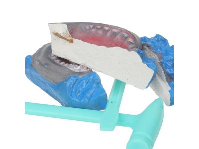 Игровой набор IQ Эксперимент Раскопки Акулий зуб 1-00464978_3