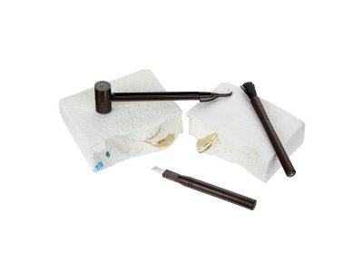 Игровой набор IQ Эксперимент Раскопки Сокровища 1-00464983_3