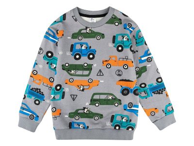 Свитшот Palloncino Dinosaurs skate 1-00460885_2