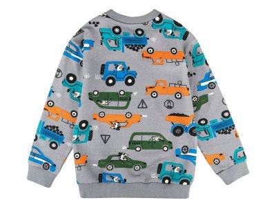 Свитшот Palloncino Dinosaurs skate 1-00460885_3