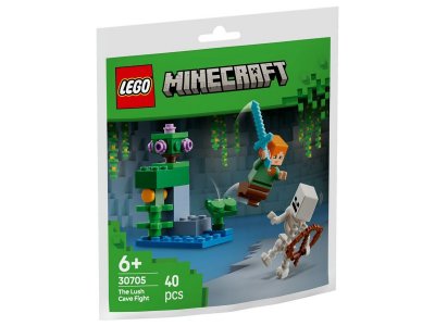 Конструктор LEGO Minecraft Бой в пышной пещере 30705 1-00465008_4