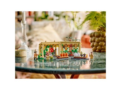 Конструктор LEGO Harry Potter Замок Хогвартс: Урок Гербологии 76445 1-00463760_5