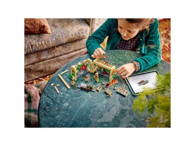 Конструктор LEGO Harry Potter Замок Хогвартс: Урок Гербологии 76445 1-00463760_7