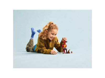 Конструктор LEGO Harry Potter Фоукс: Феникс Дамблдора 76448 1-00463761_8