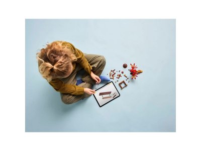 Конструктор LEGO Harry Potter Фоукс: Феникс Дамблдора 76448 1-00463761_7