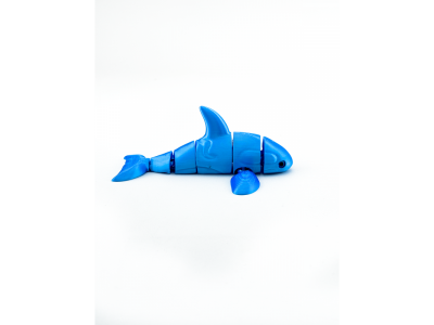 Игрушка Funberry toys 3D Касатка Вилли 1-00465197_10