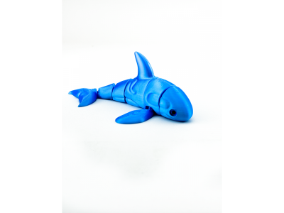 Игрушка Funberry toys 3D Касатка Вилли 1-00465197_11