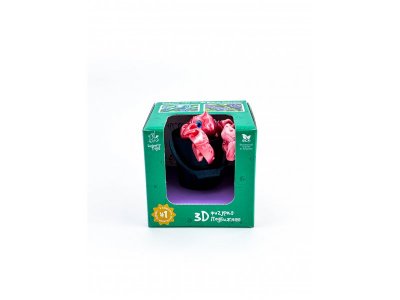Игрушка Funberry toys 3D Лобстер Ларри в ведре 1-00465199_2