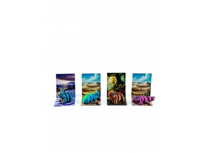 Игрушка Funberry toys 3D Funberry Box 1-00465203_11