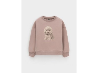 Свитшот Crockid кофейный 100465284