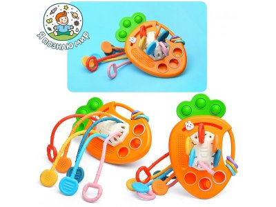 Игрушка развивающая Я познаю мир Морковка 1-00466621_2