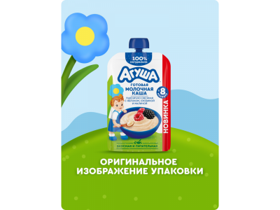 Каша Агуша пшенично-овсяная Яблоко ежевика малина 100 г 1-00468574_4