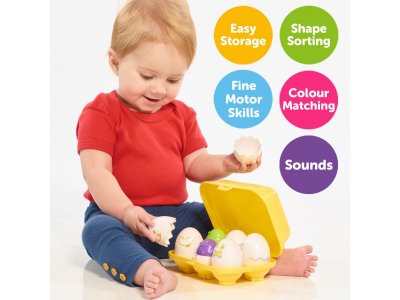 Игровой набор Toomies Сортер Найди яйцо 1-00469257_4