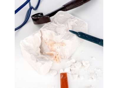 Набор игровой Раскопки динозавров 6 в 1 1-00413170_3