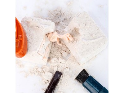 Набор игровой Maya Toys Раскопки динозавров 3 в 1 1-00470592_4