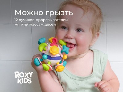 Игрушка развивающая Roxy-Kids Busy Ball 1-00470993_16