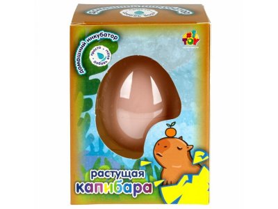 Игрушка 1toy Домашний инкубатор, яйцо с растущей Капибарой 1-00469743_2