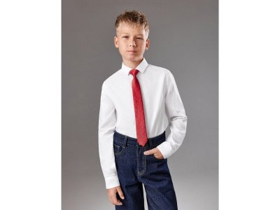 Галстук Acoola 1-00472368_2