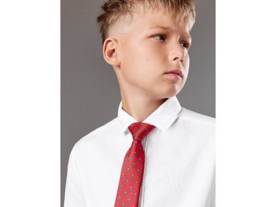 Галстук Acoola 1-00472368_5