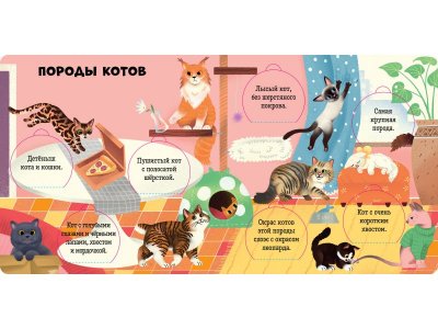 Книга Clever Книжка с окошками. Любимые животные. Энциклопедия с окошками 1-00474226_3