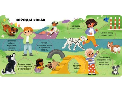 Книга Clever Книжка с окошками. Любимые животные. Энциклопедия с окошками 1-00474226_4