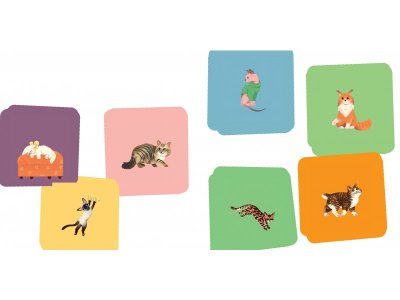 Книга Clever Книжка с окошками. Любимые животные. Энциклопедия с окошками 1-00474226_7