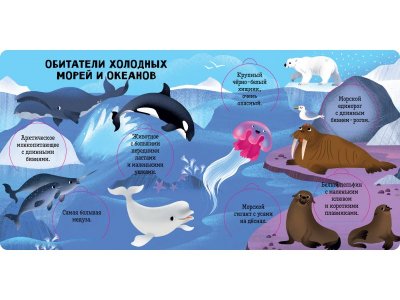 Книга Clever Книжка с окошками. Океаны и моря. Энциклопедия с окошками 1-00474227_3